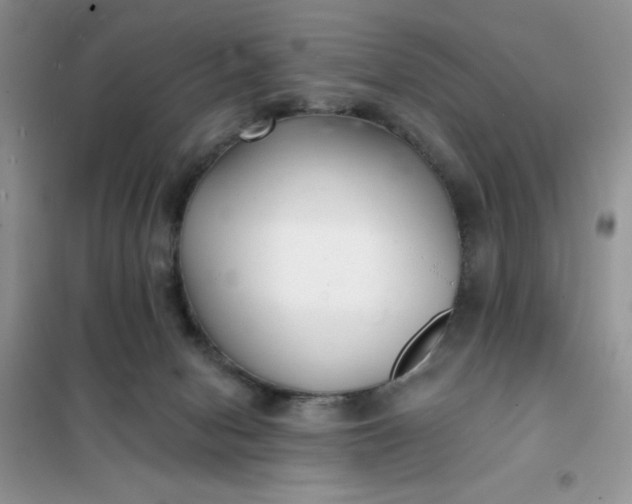 X0000101980078200808011109