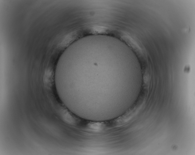 X0000101980079200808011109