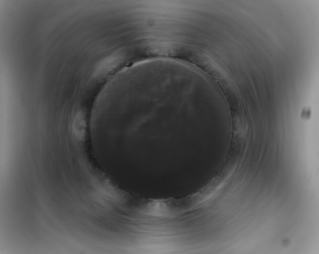 X0000101980080200808011109