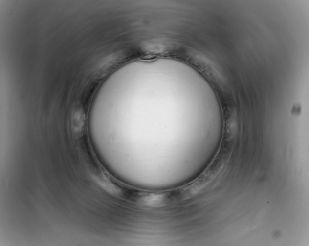 X0000101980081200808011109