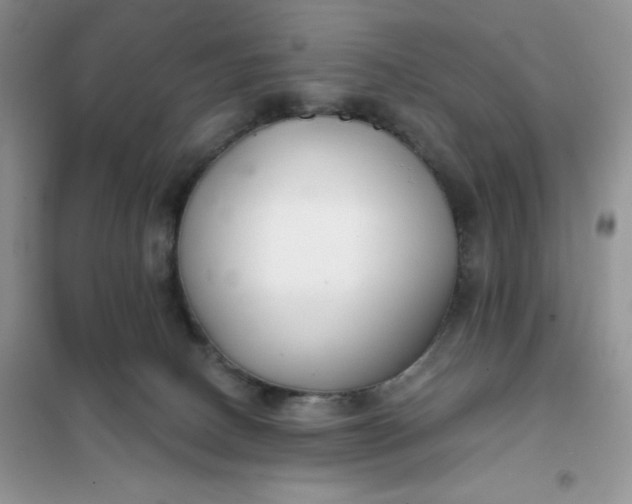 X0000101980082200808011109