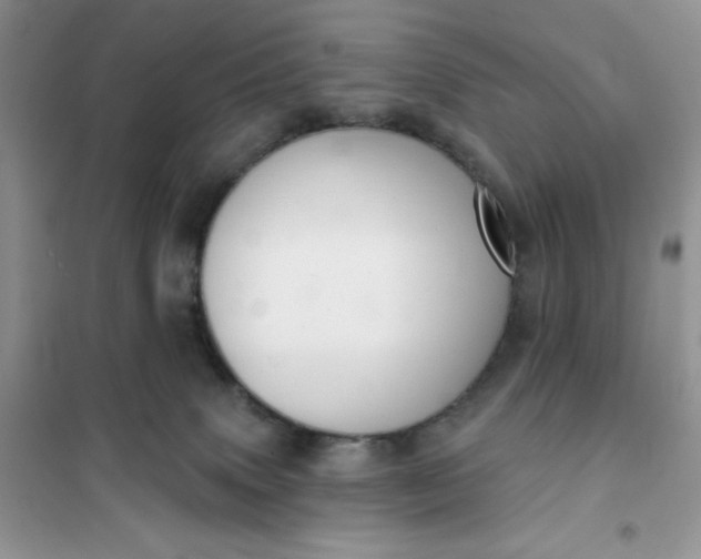 X0000101980083200808011109