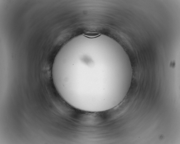 X0000101980086200808011109