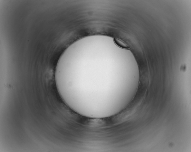 X0000101980087200808011110