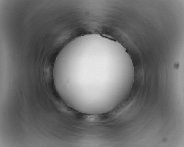 X0000101980088200808011110