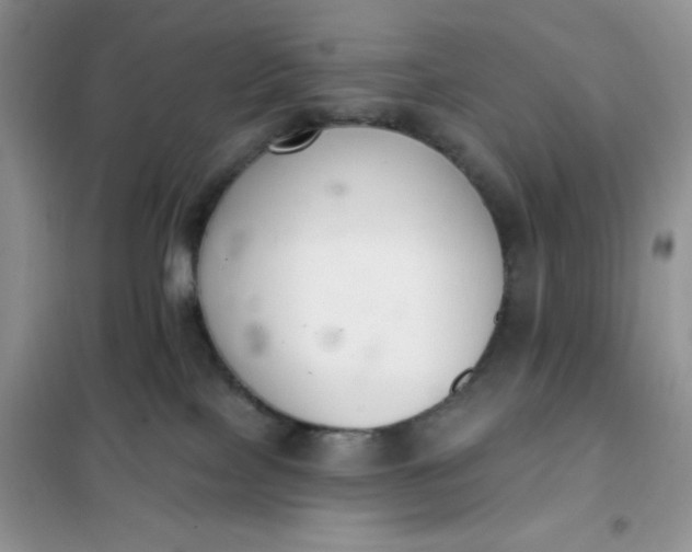 X0000101980089200808011110