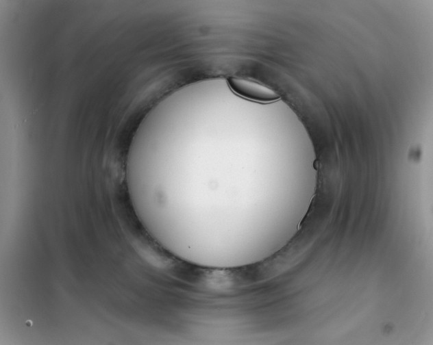 X0000101980091200808011110