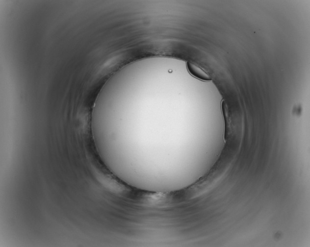 X0000101980092200808011110