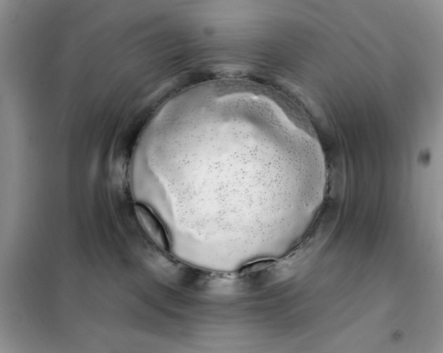 X0000101980093200808011110