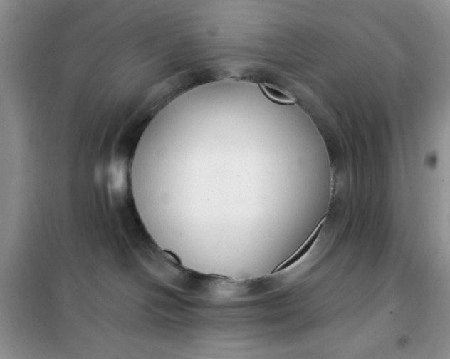 X0000101980094200808011110