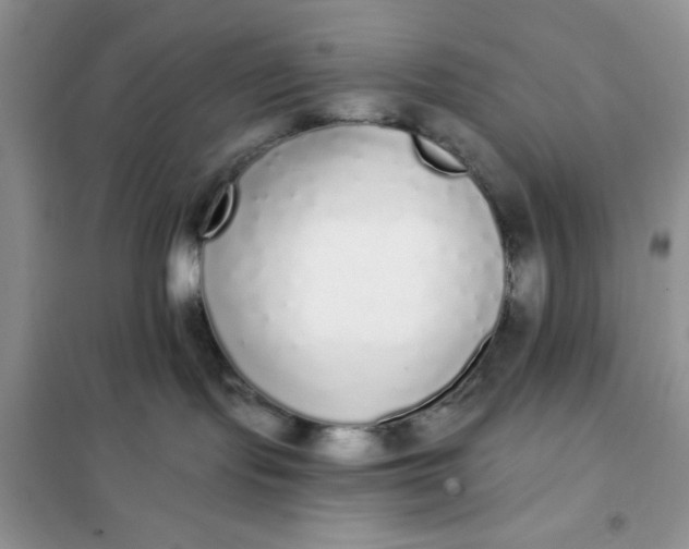 X0000101980095200808011110