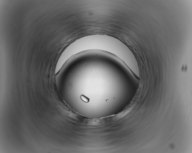 X0000101980096200808011110