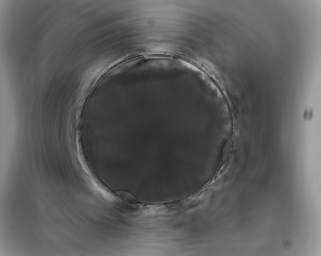 X0000101980097200808011109