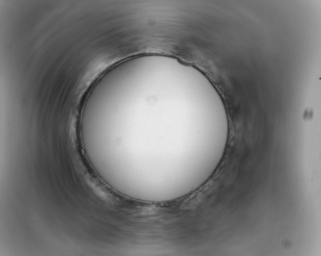 X0000101980098200808011109