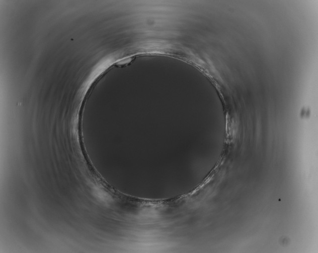 X0000101980099200808011109