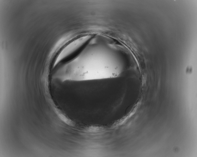 X0000101980101200808011109