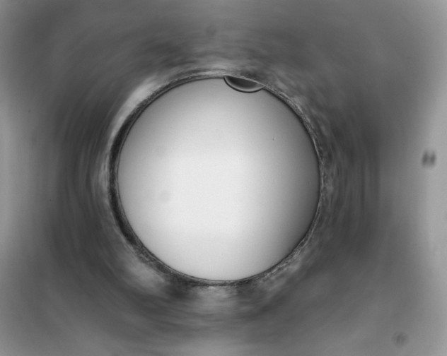 X0000101980102200808011109