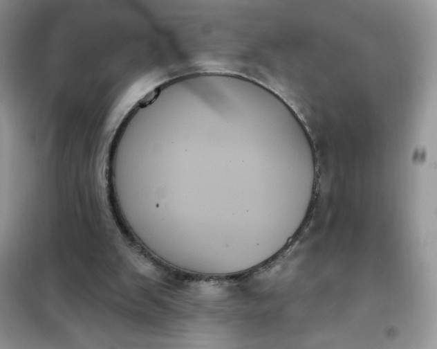 X0000101980103200808011109