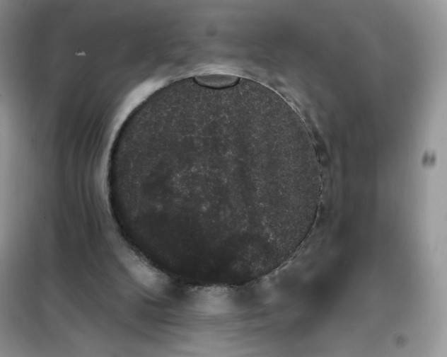 X0000101980104200808011109