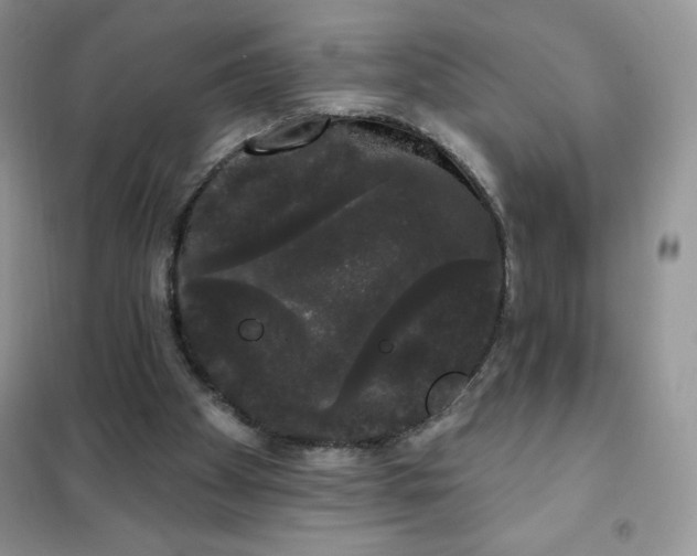 X0000101980105200808011109