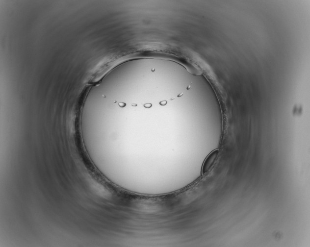 X0000101980106200808011109