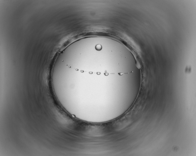 X0000101980107200808011109