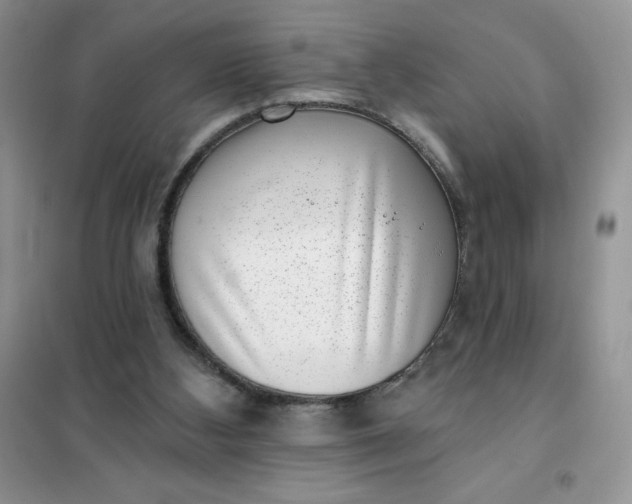 X0000101980108200808011109