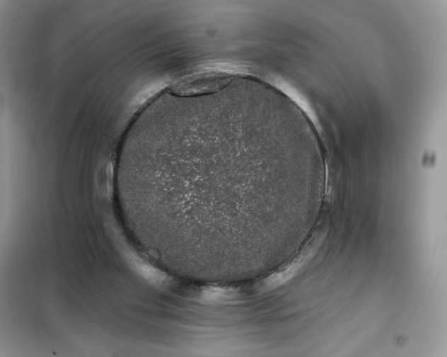 X0000101980109200808011109