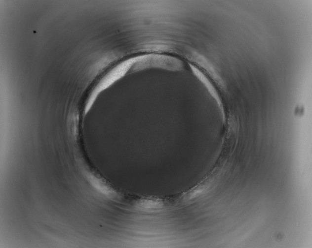 X0000101980110200808011109