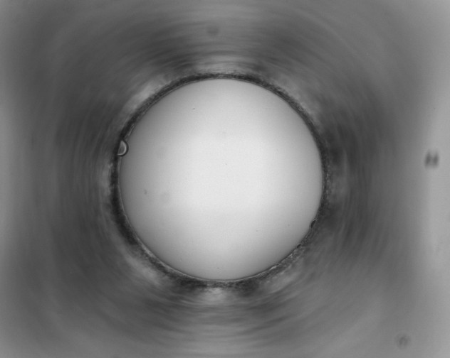 X0000101980111200808011109