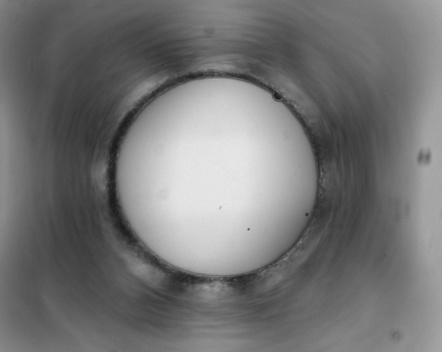 X0000101980112200808011109