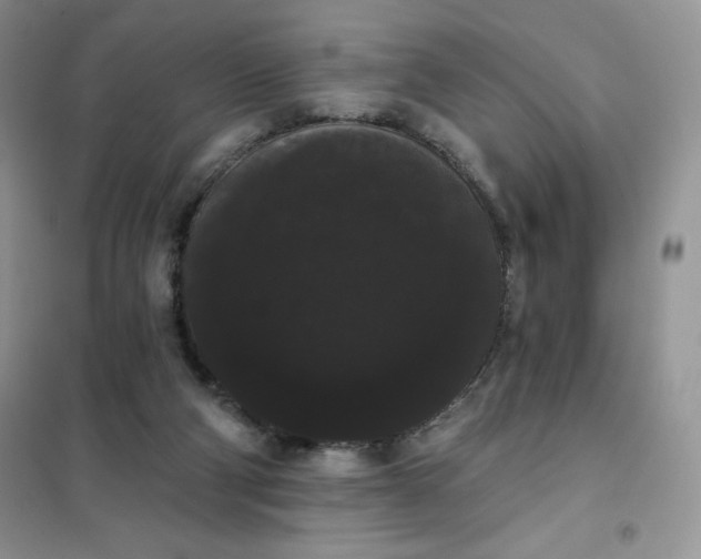 X0000101980114200808011109