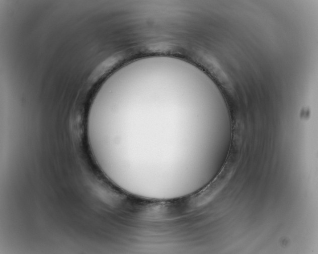 X0000101980116200808011109