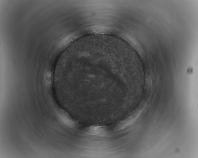 X0000101980117200808011109