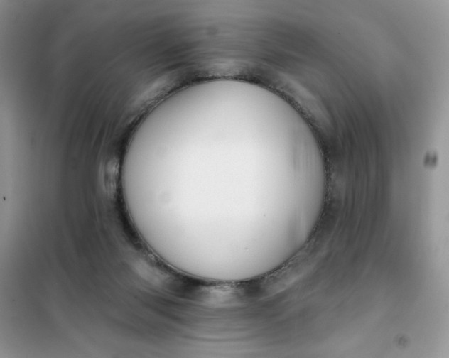 X0000101980118200808011109