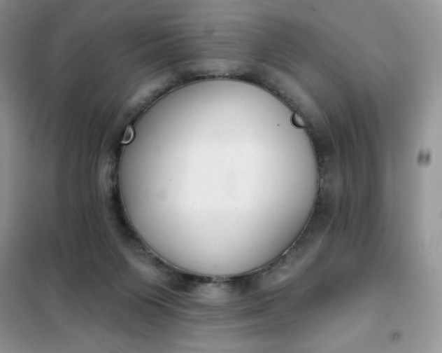 X0000101980119200808011109