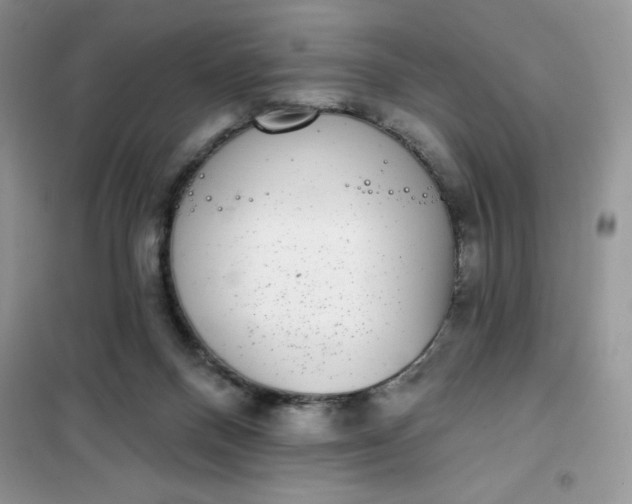 X0000101980120200808011109