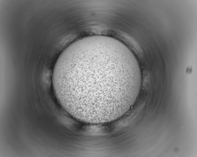 X0000101980121200808011109