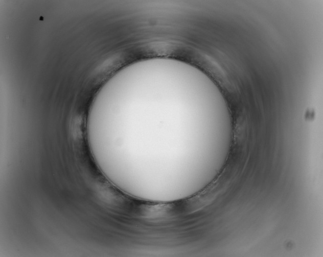 X0000101980122200808011109