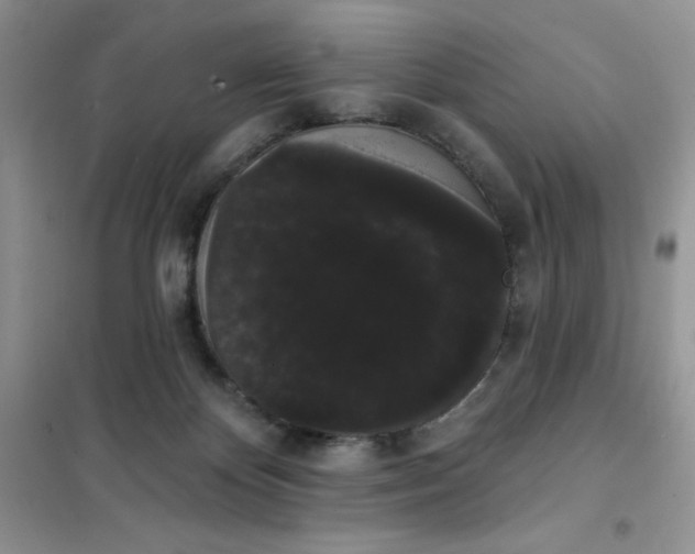 X0000101980124200808011109