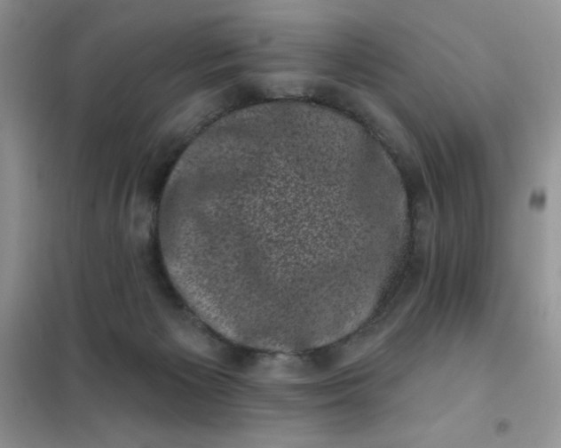 X0000101980125200808011109