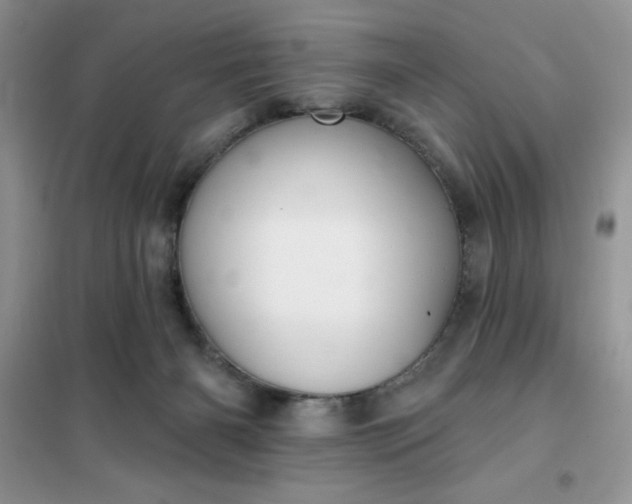 X0000101980126200808011109