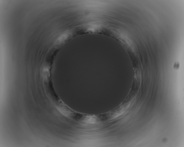 X0000101980127200808011109