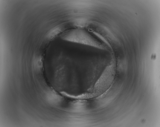 X0000101980128200808011108