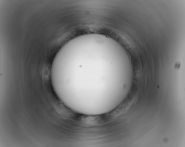 X0000101980129200808011108