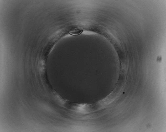 X0000101980130200808011108