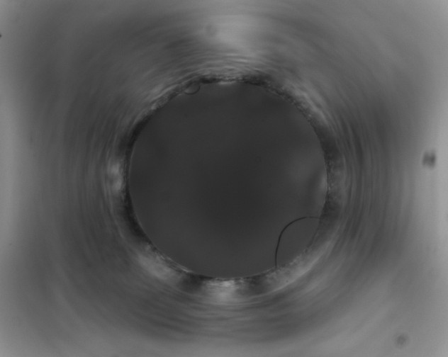 X0000101980131200808011108