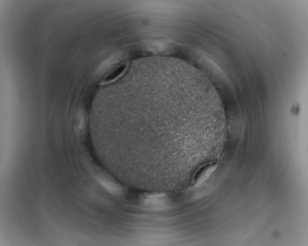 X0000101980132200808011108