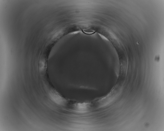 X0000101980134200808011108