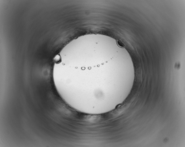 X0000101980135200808011108